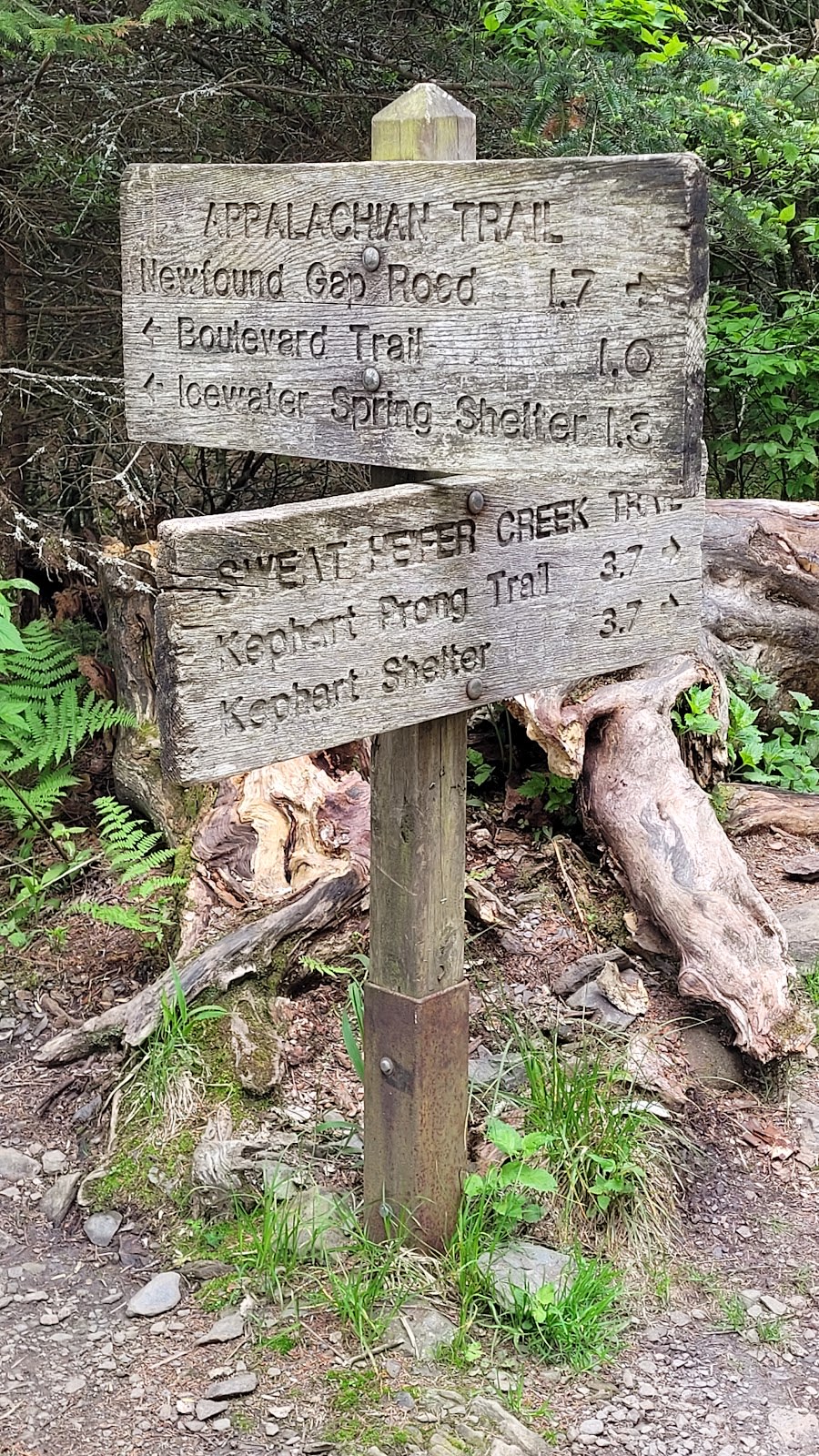 Sweat Heifer Creek Trail