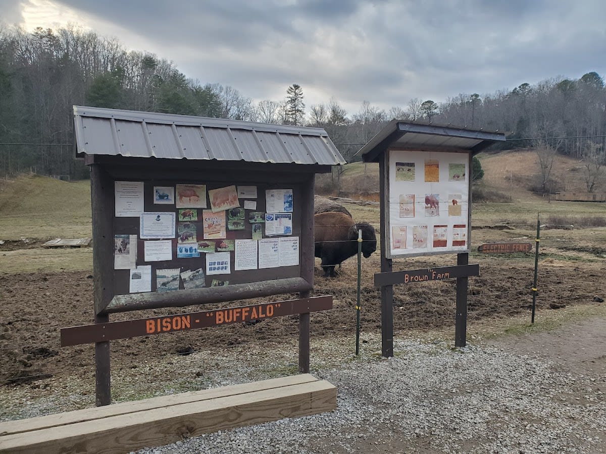 The Brown Buffalo Farm
