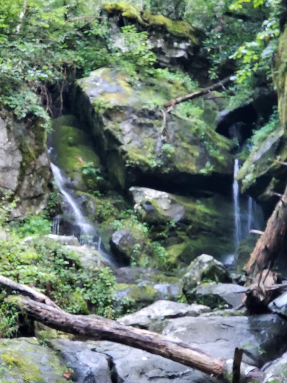 The Place of a Thousand Drips