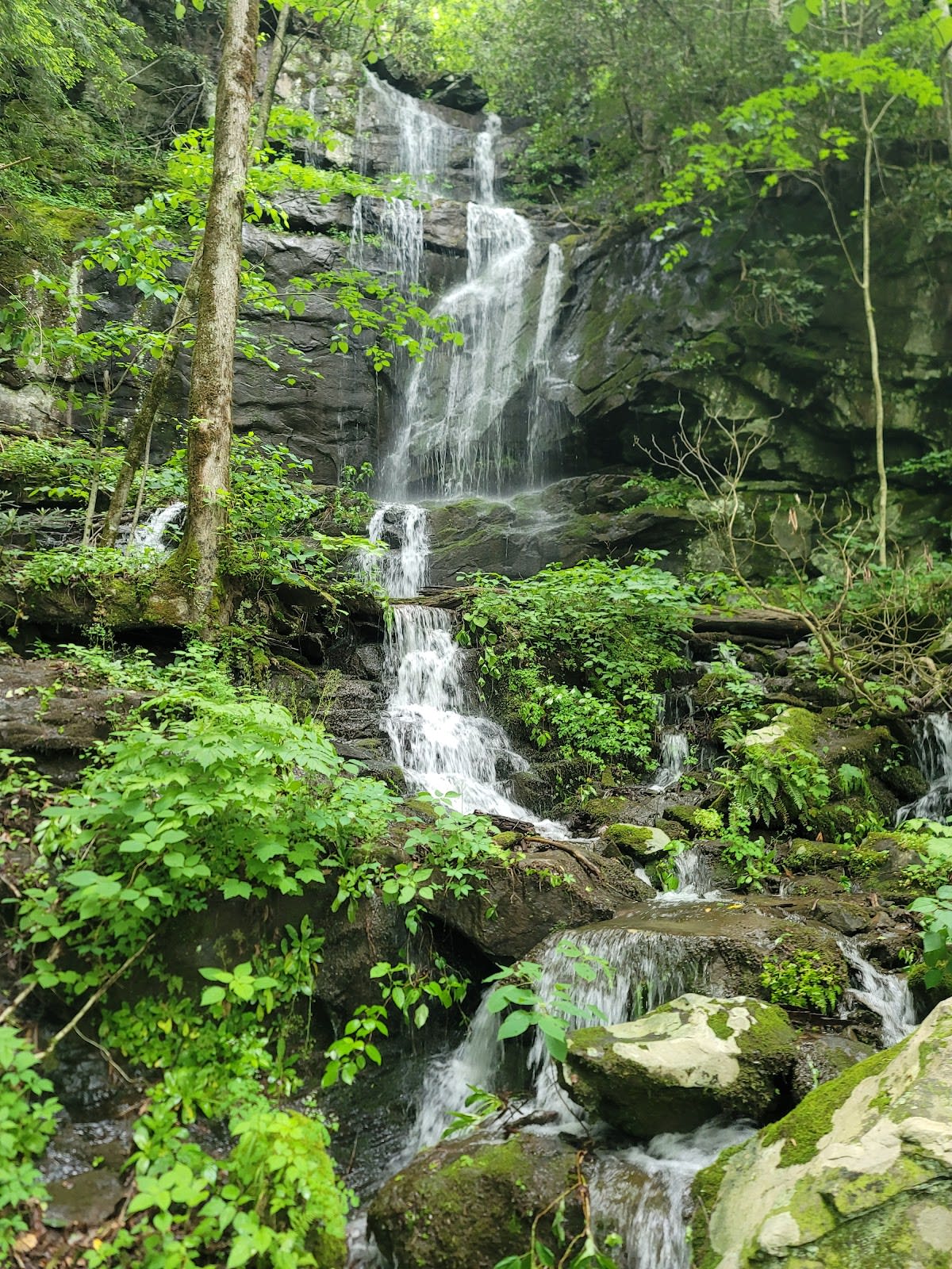 The Place of a Thousand Drips