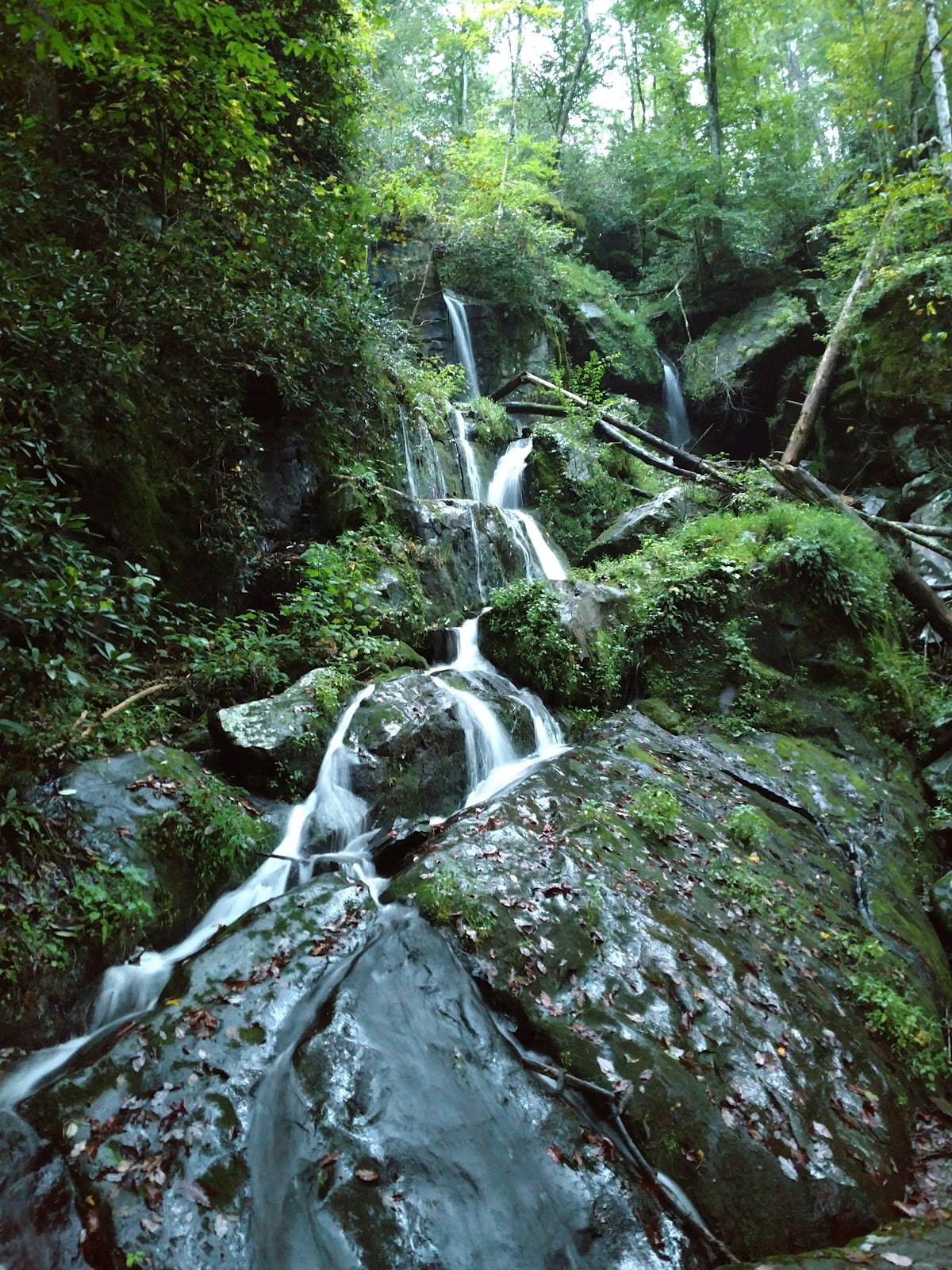 The Place of a Thousand Drips