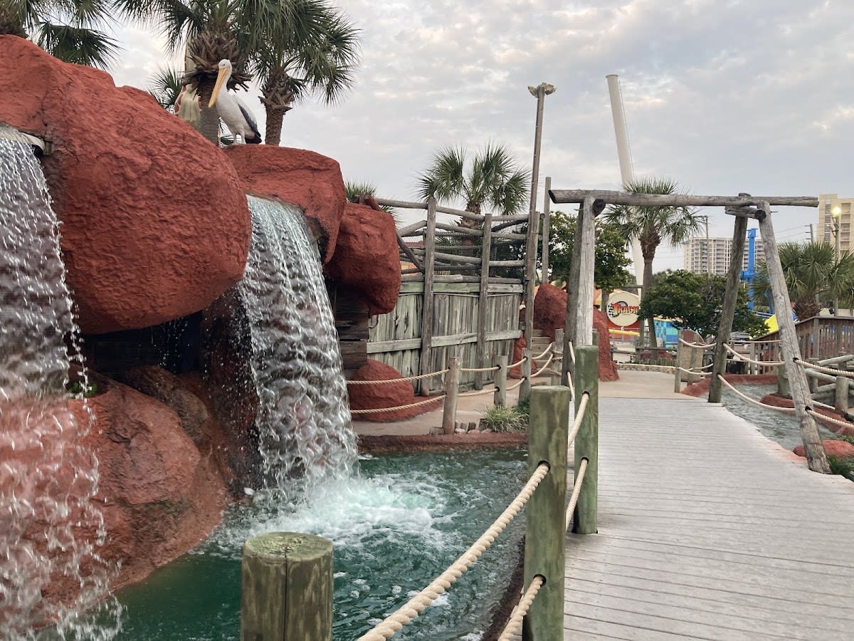 The Track - Rides & Fat Daddy's Arcade