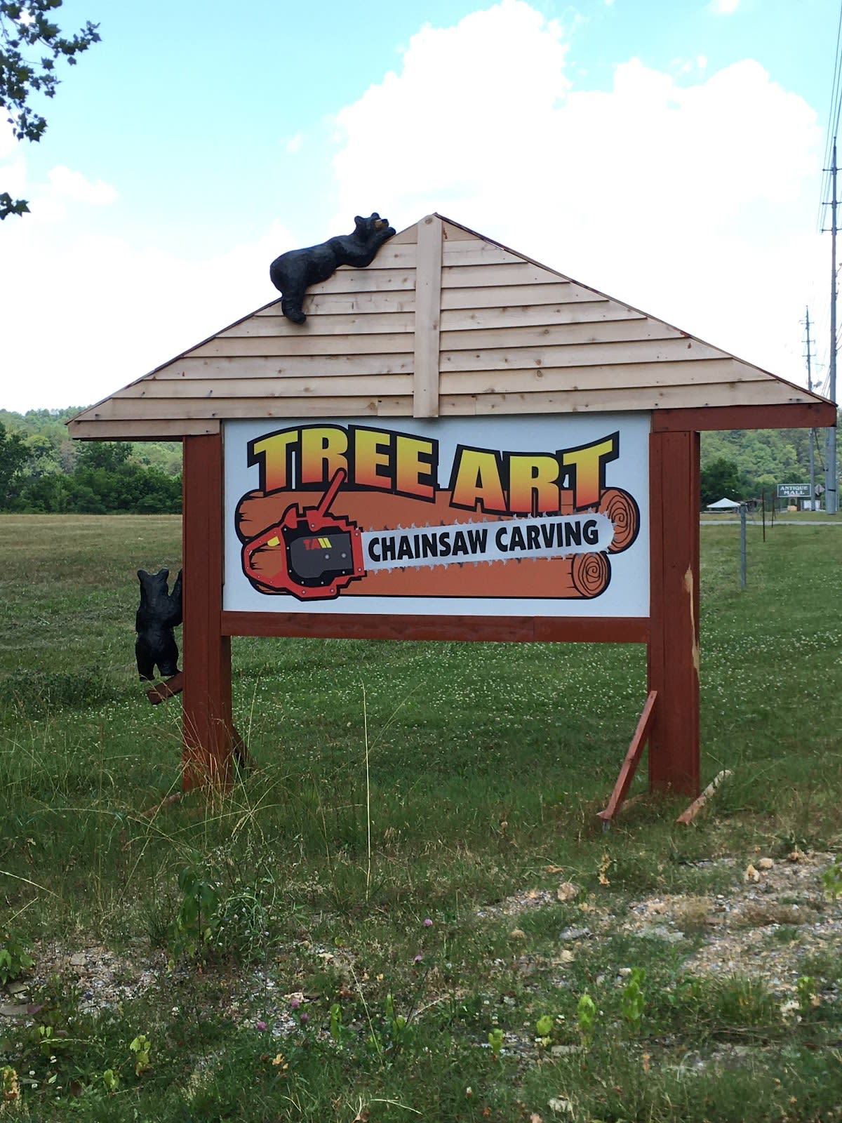 Tree Art Chainsaw Carving at Mountain Brothers