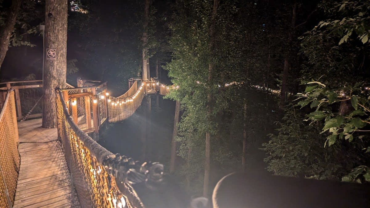 Treetop Skywalk at Anakeesta
