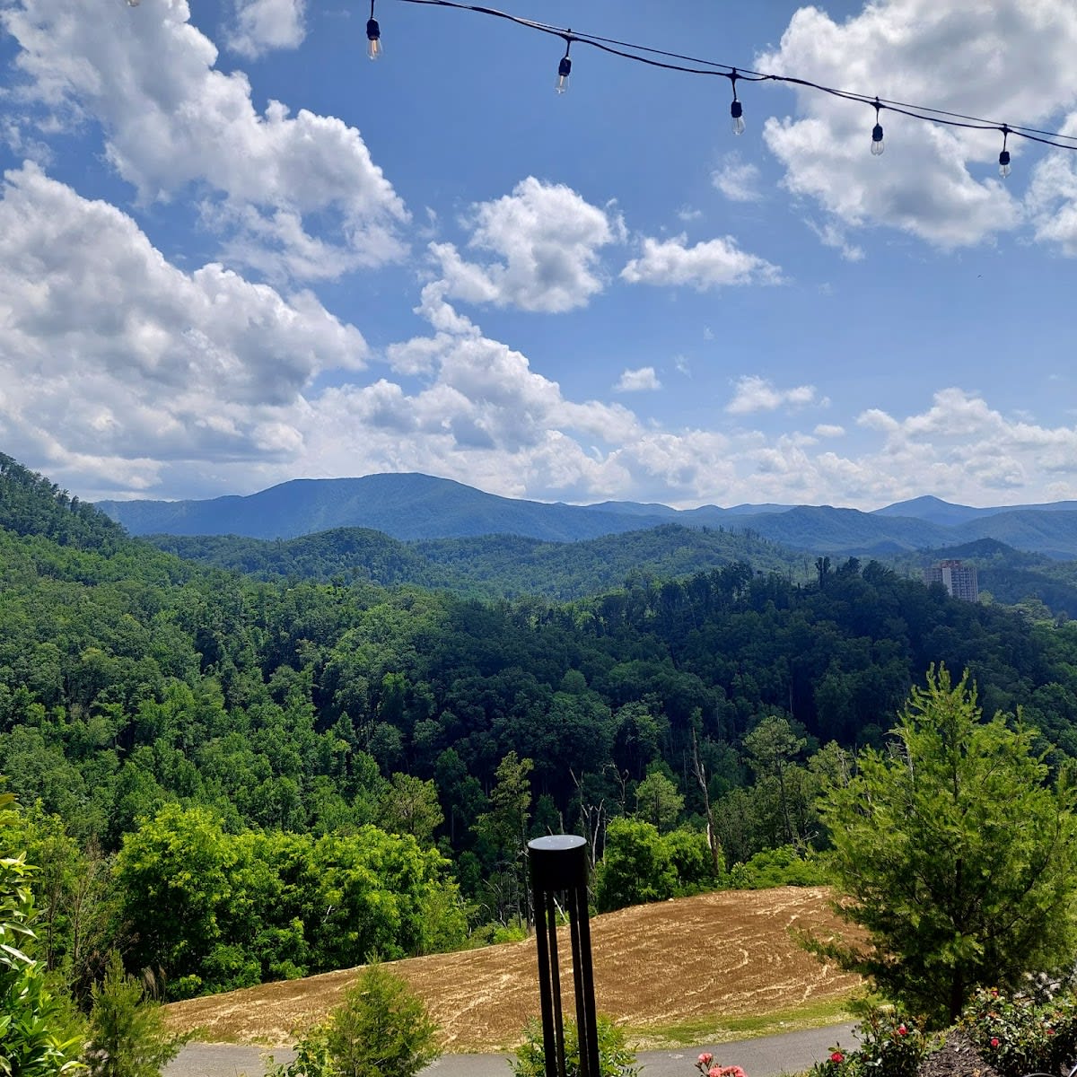 Treetop Skywalk at Anakeesta