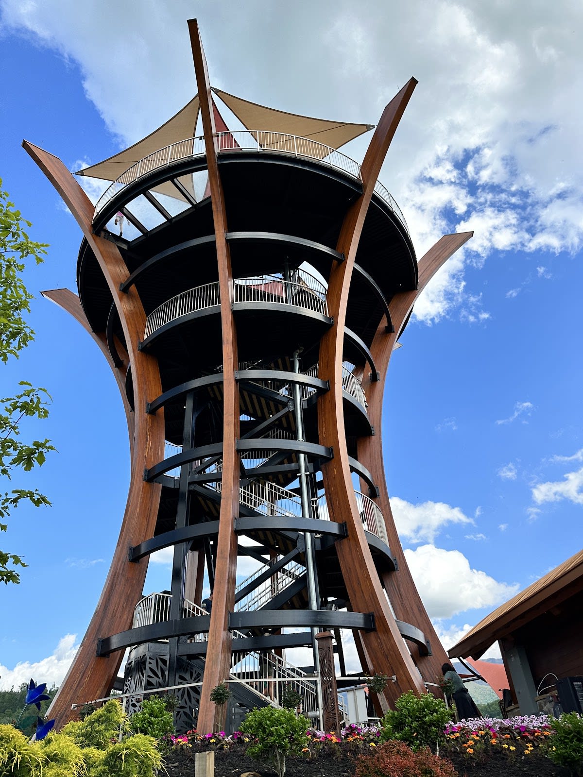 Treetop Skywalk at Anakeesta