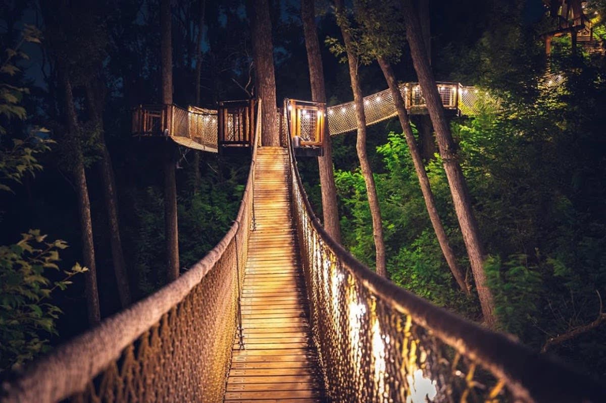 Treetop Skywalk at Anakeesta