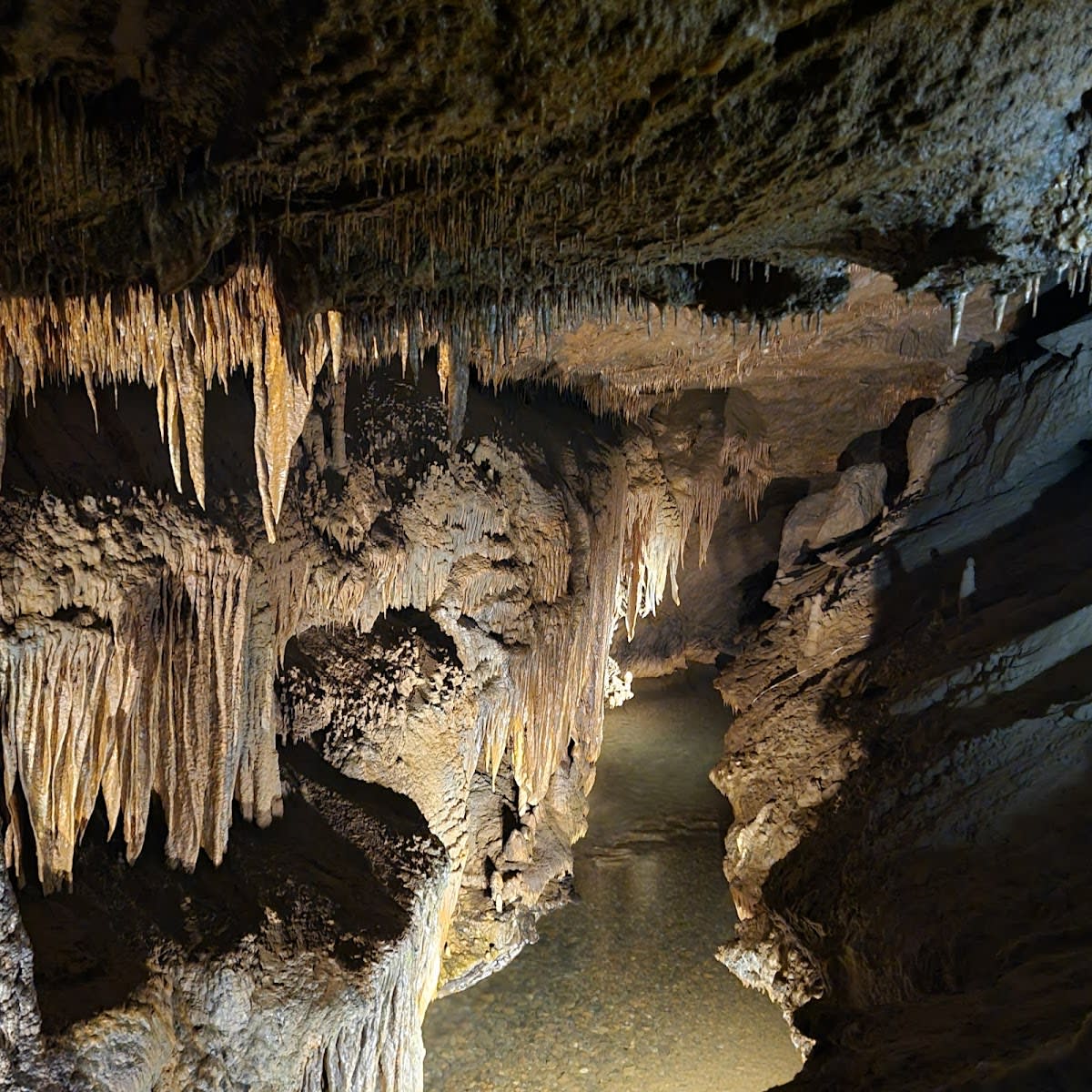Tuckaleechee Caverns