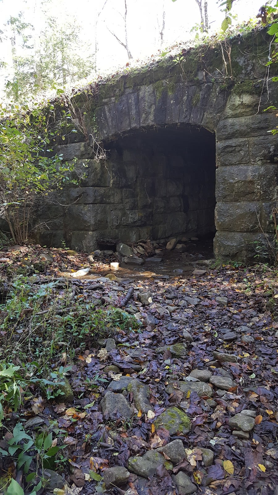 Turkeypen Ridge Trail