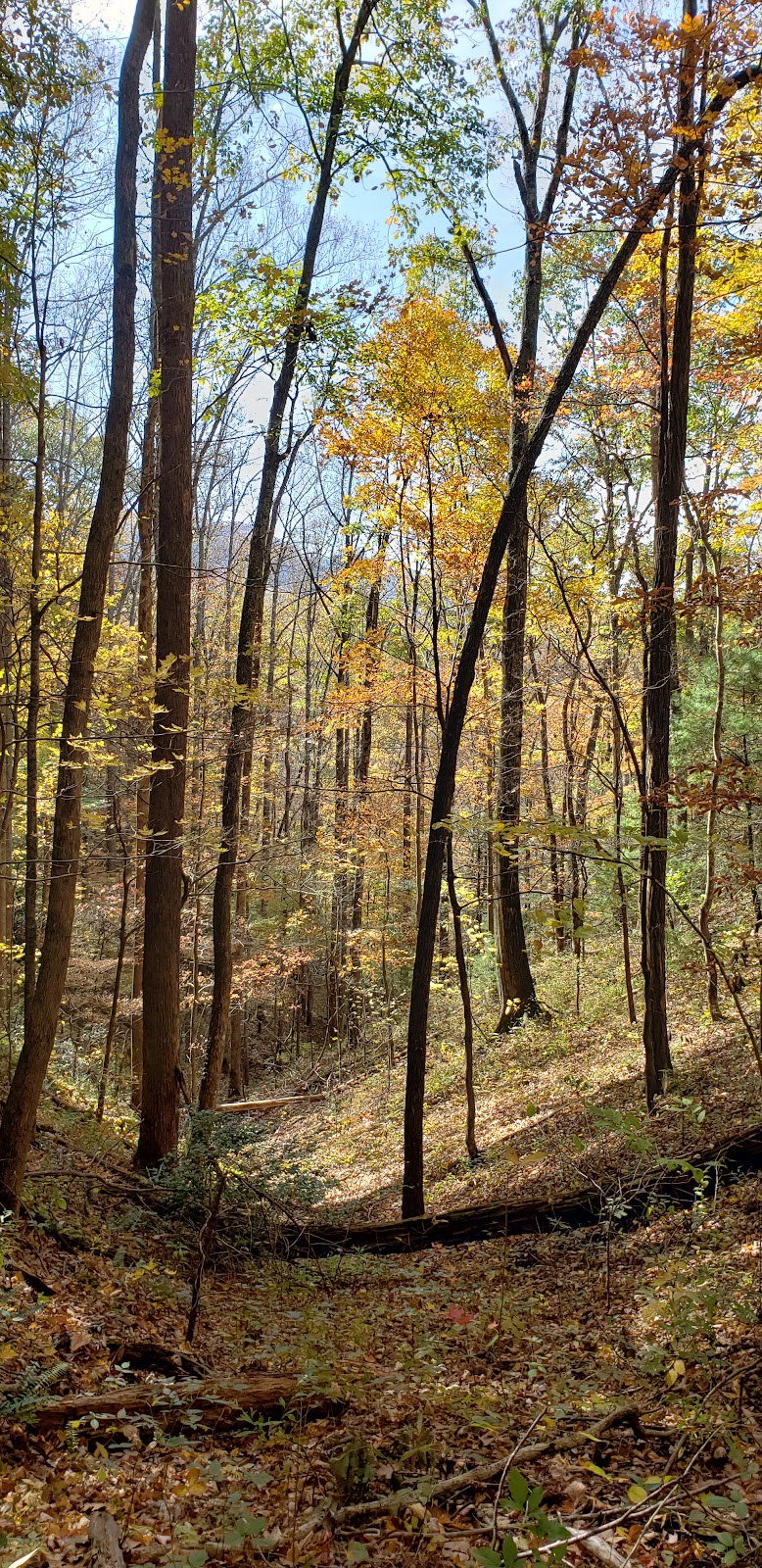 Turkeypen Ridge Trail