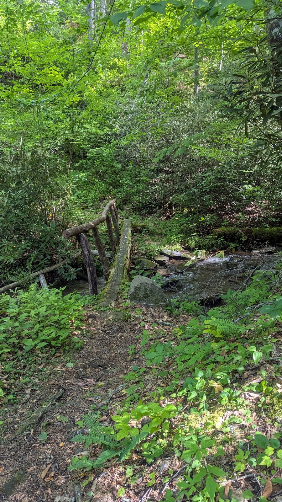 Twentymile Loop Trail