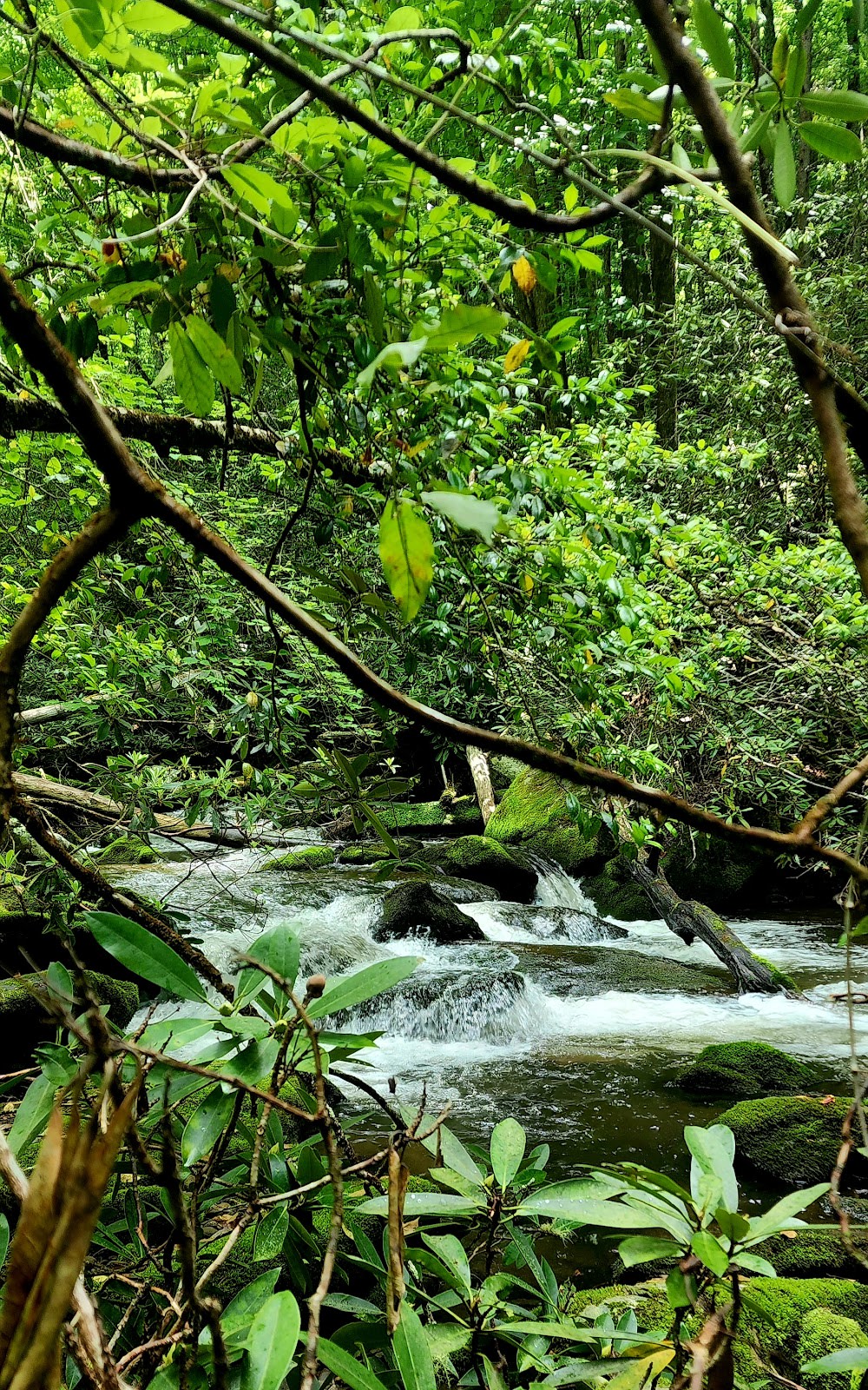 Twentymile Loop Trail