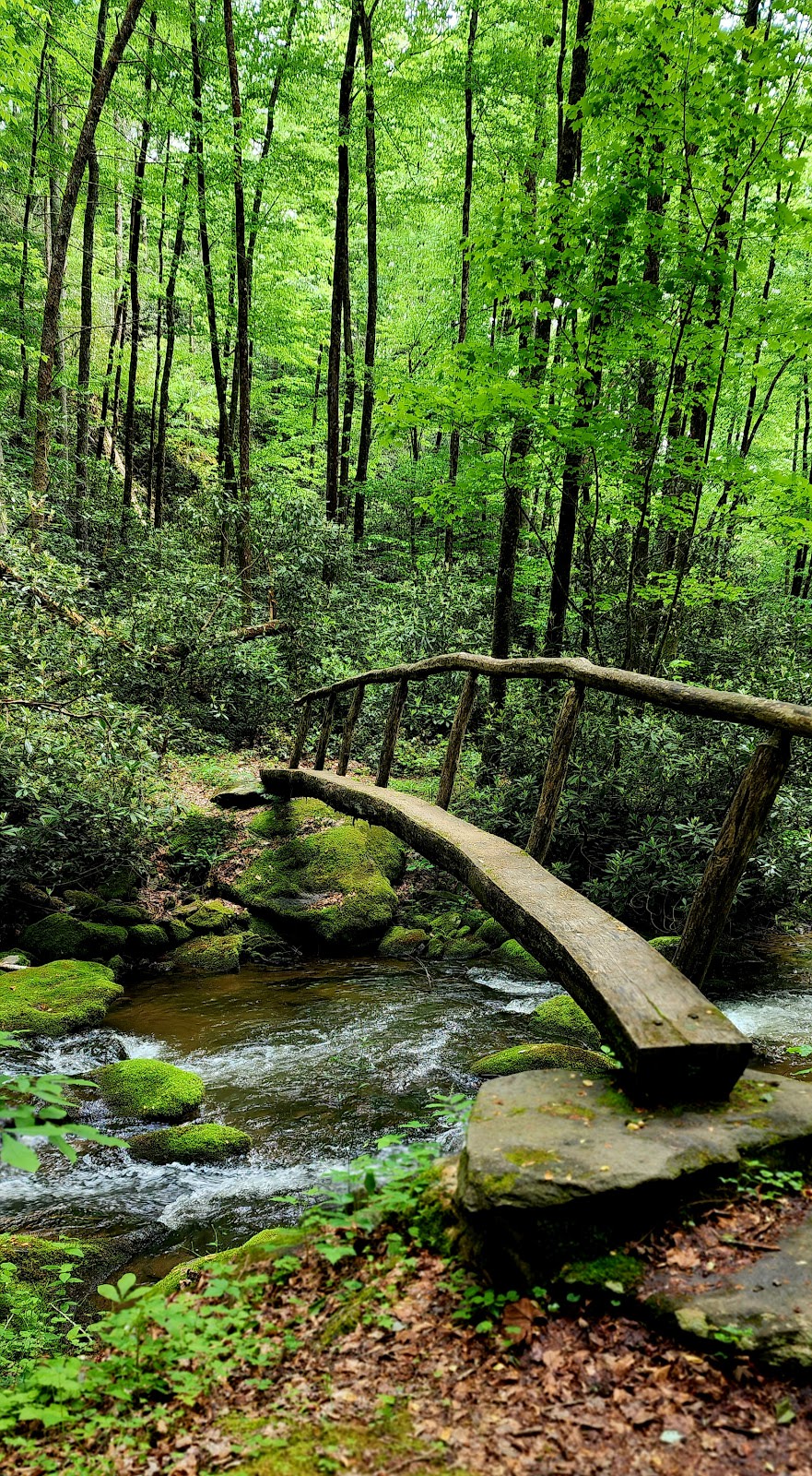 Twentymile Loop Trail