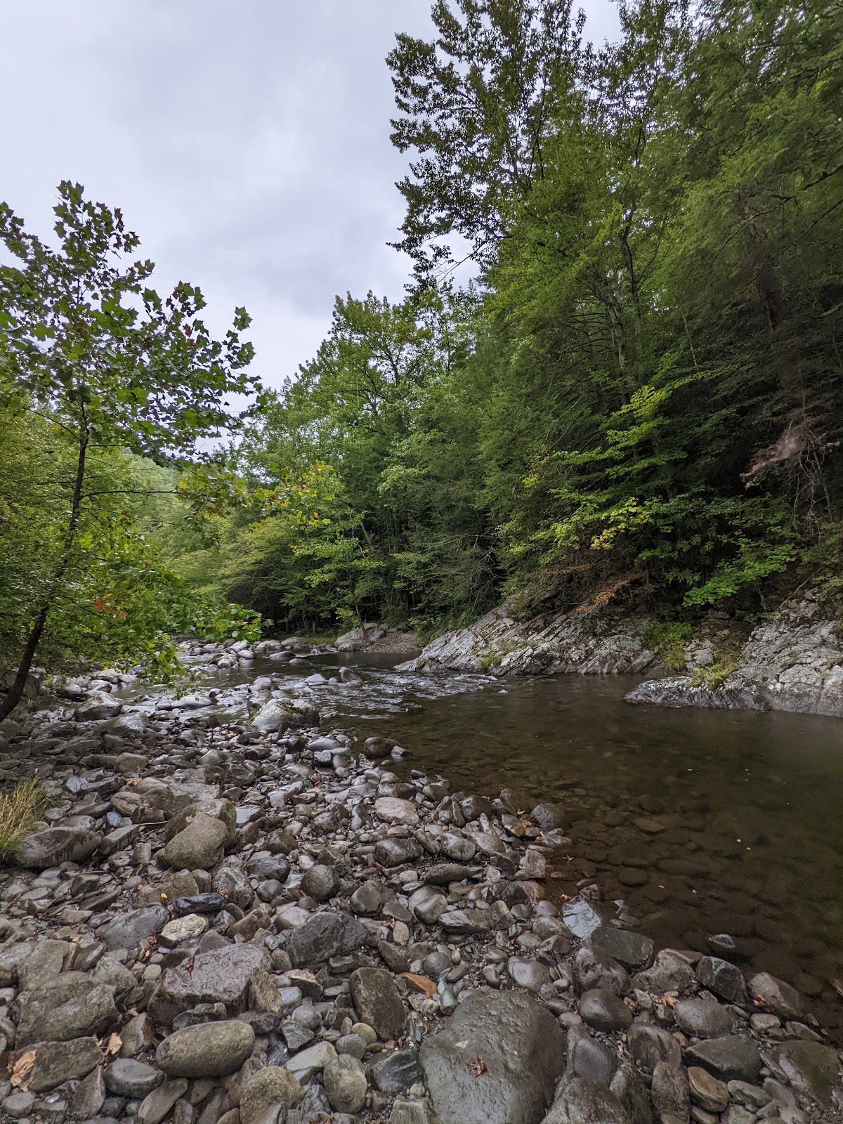 West Prong Trail