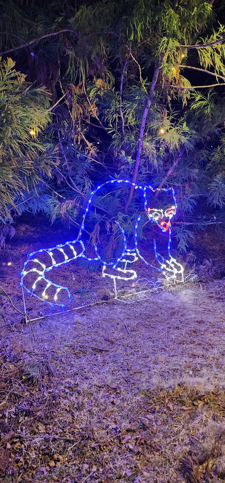 Winterfest Wonders of Light Walking Trail