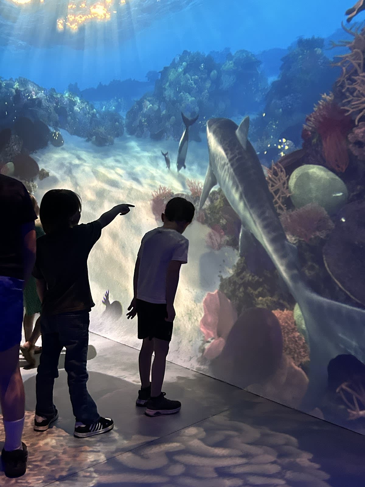 XPERIA: Ocean Journey