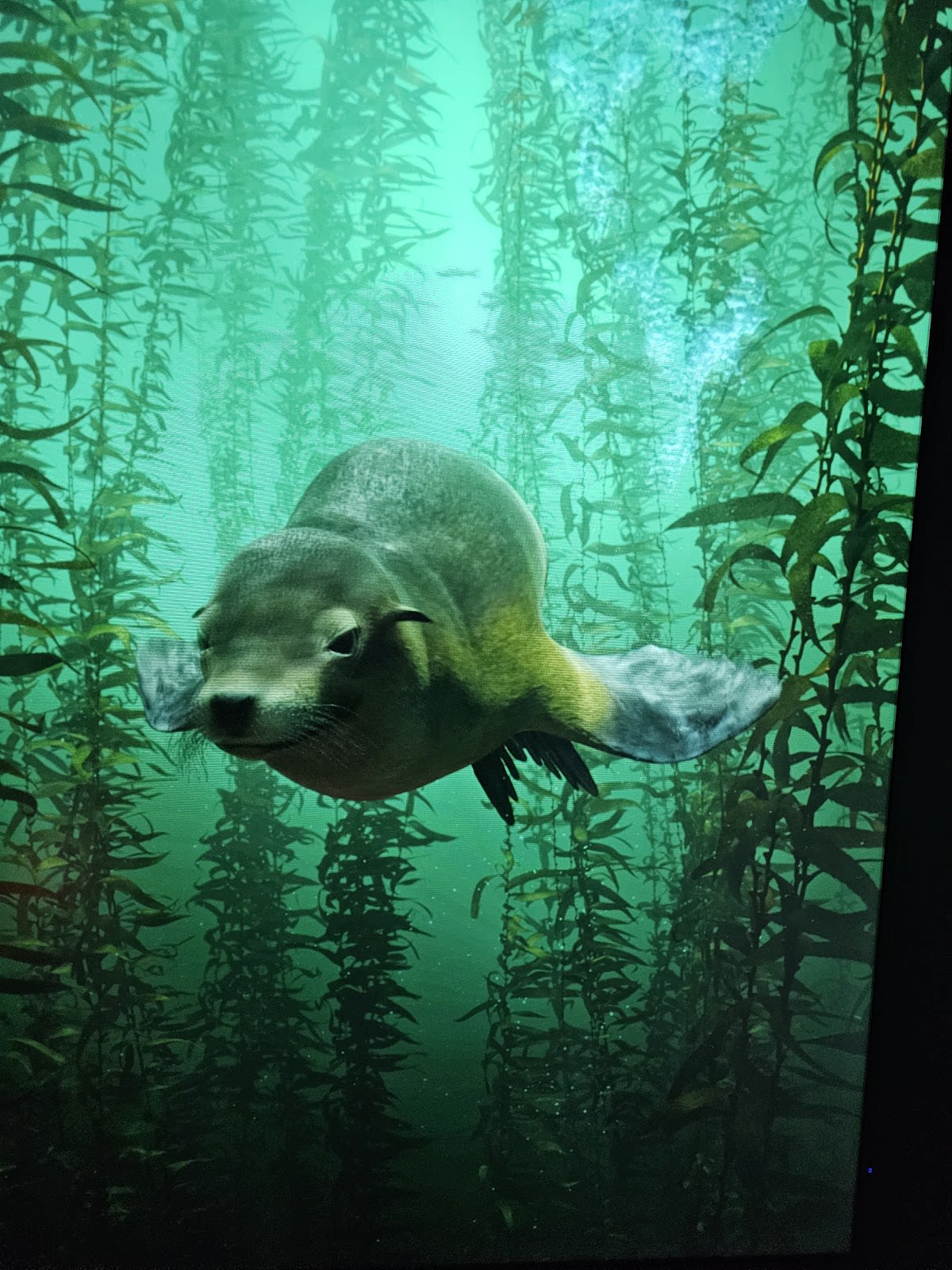 XPERIA: Smoky Mountains