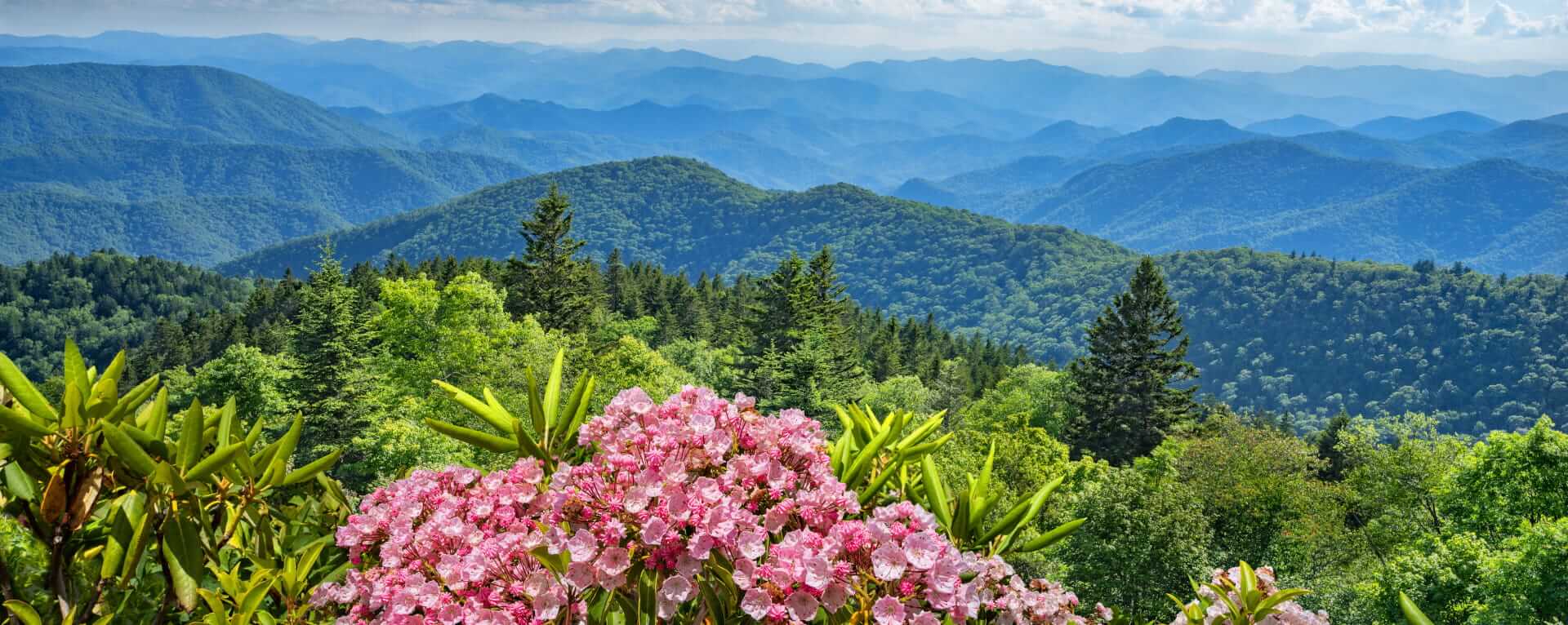 Bear Mountain Cabin View - Sevierville Cabin Rental Resort