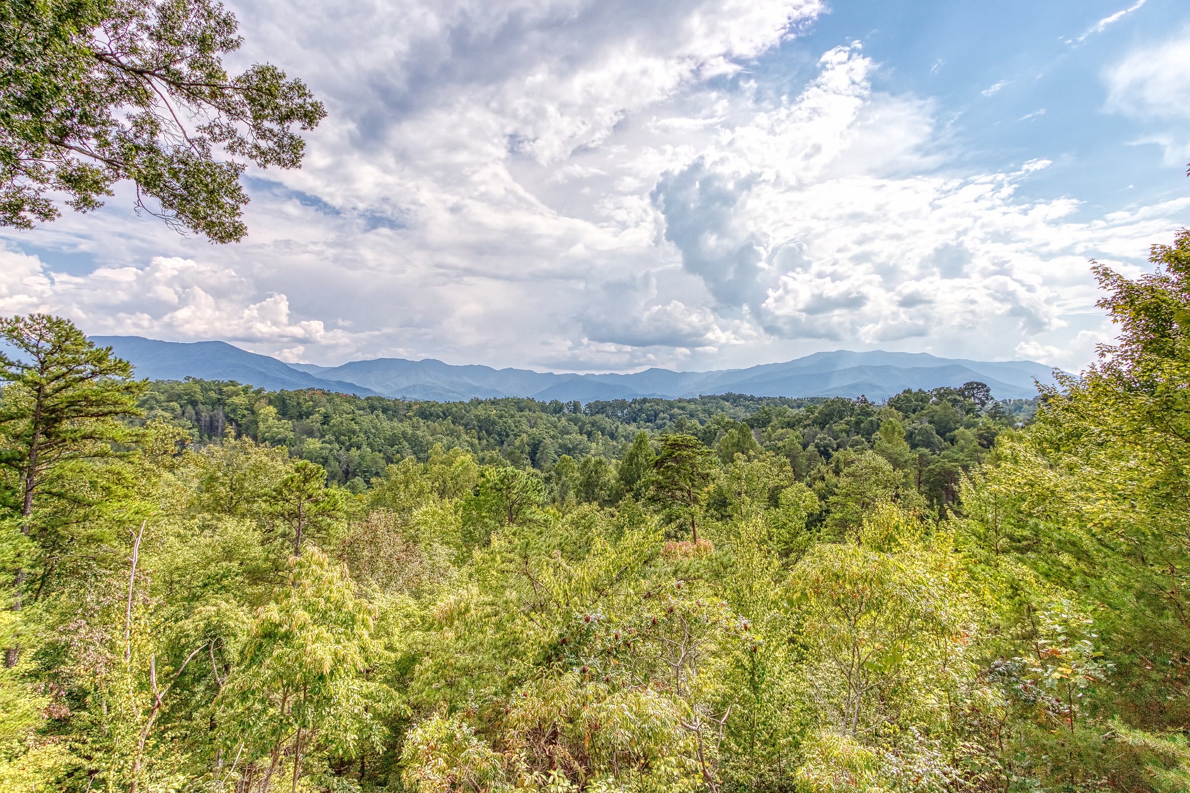 Shady Grove Resort View - Pigeon Forge Cabin Rental Resort