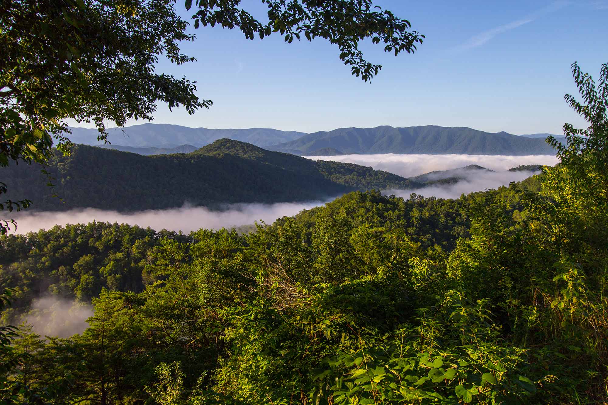 Wears Valley mountain scenery