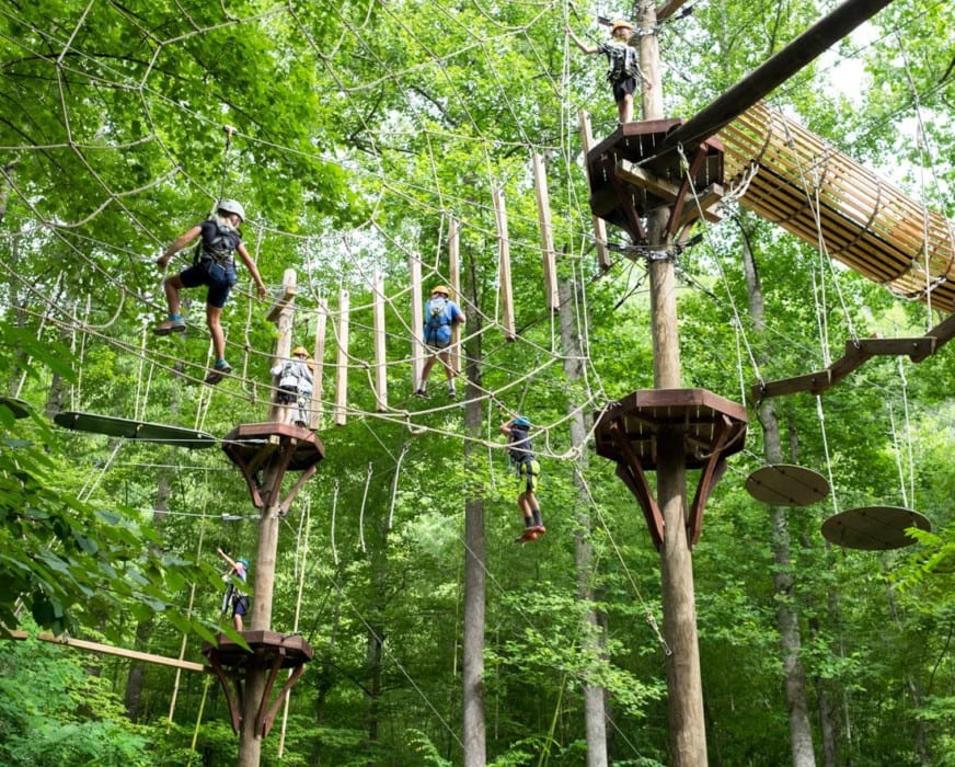 Team building rope climbing at a corporate retreat