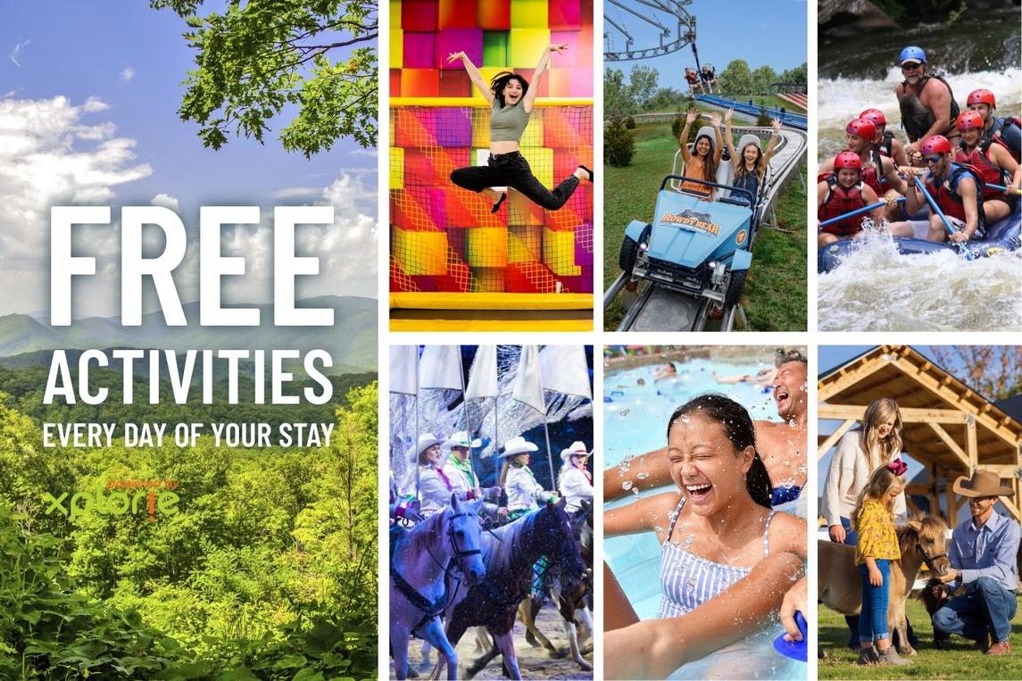Beartastic Mountain View Lodge interior 2