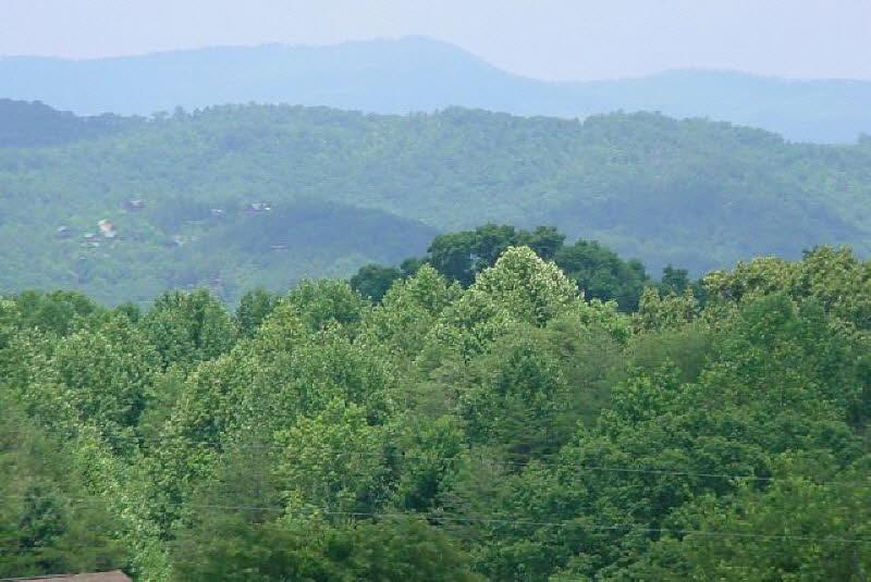 Honeysuckle Meadows