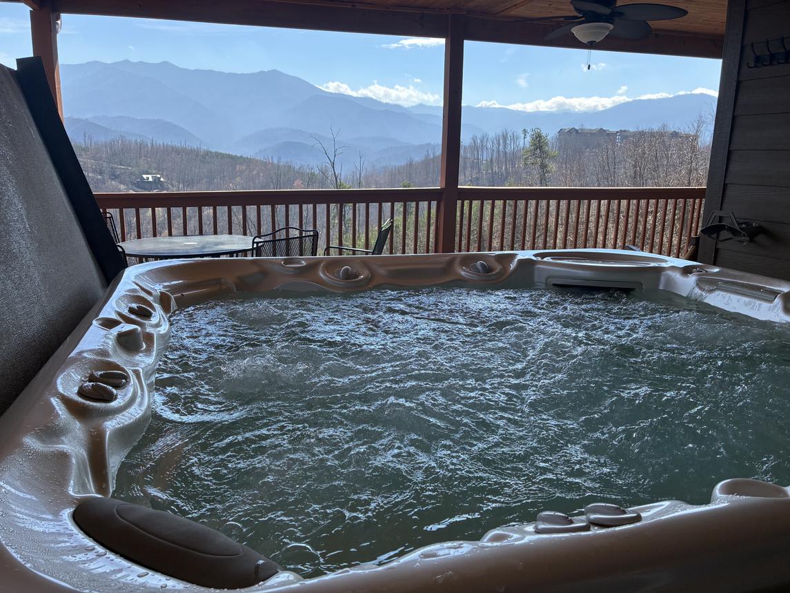 Beartastic Mountain View Lodge - main view