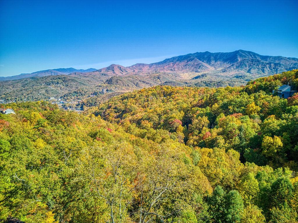 Four Bears Den - main view