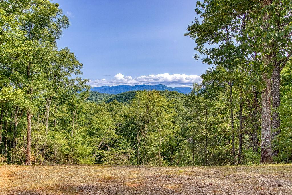 Powdermill Point - Kitchen