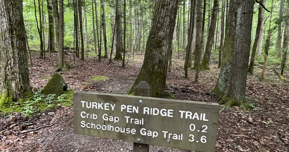 Lakeshore Trail