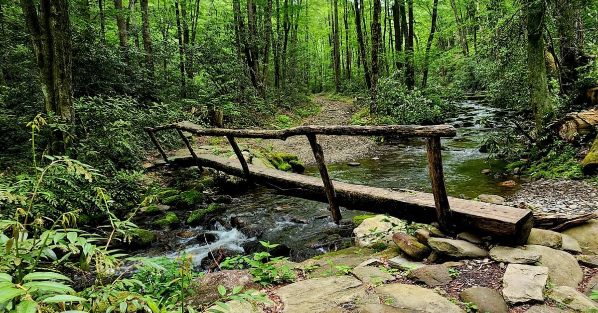 Cooper Creek Trail