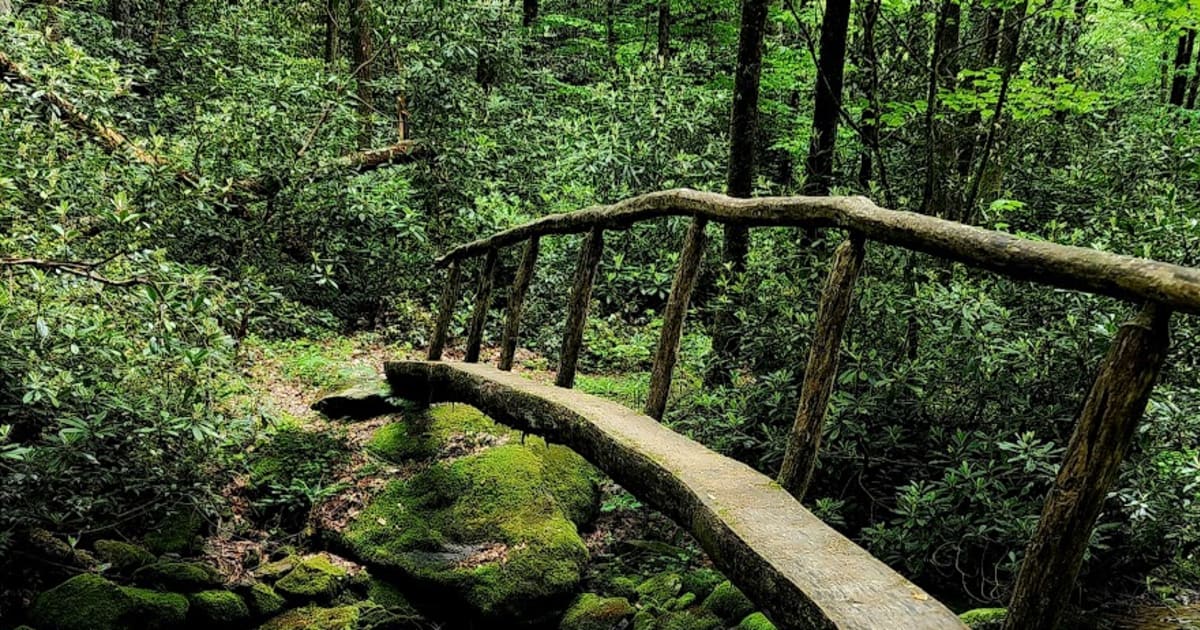 Dry Sluice Gap Trail