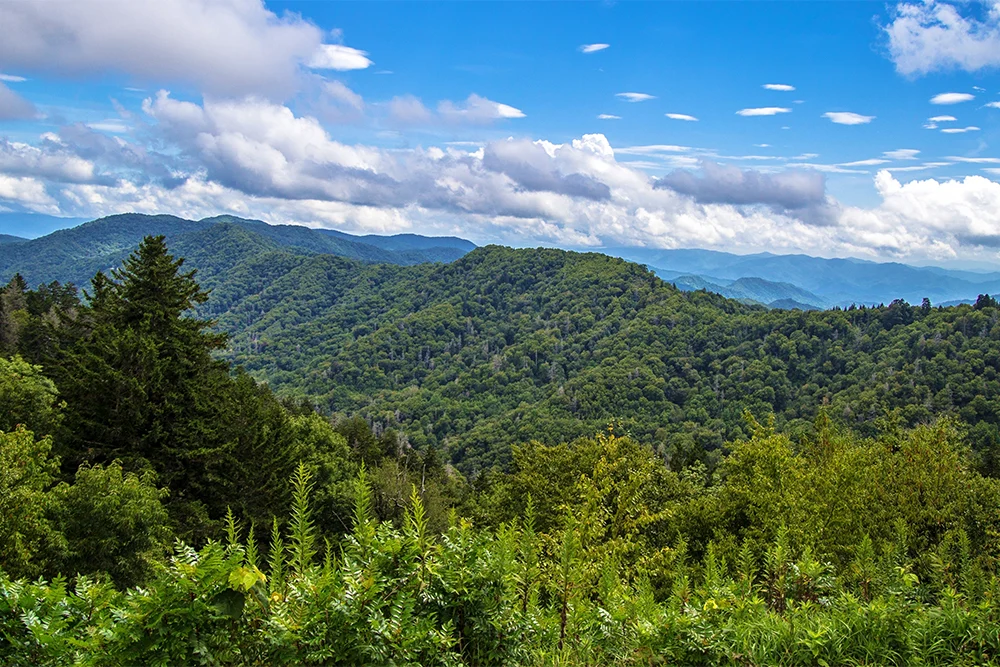 Smoky Mountains during shoulder season