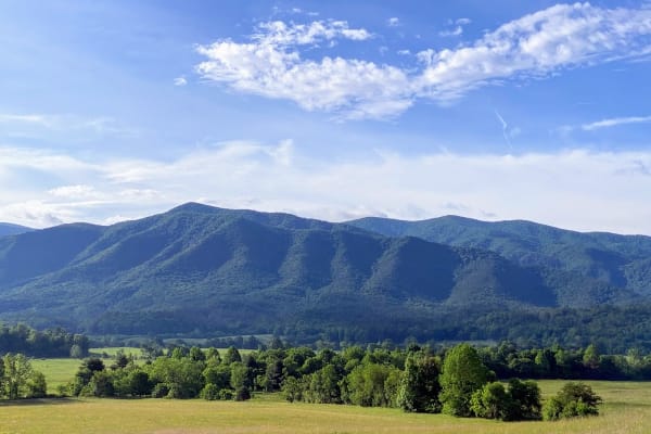 A car driving the scenic Cades Cove Loop Road in the Smoky Mountains.