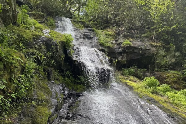 Hen Wallow Falls fanning out over a wide rock face
