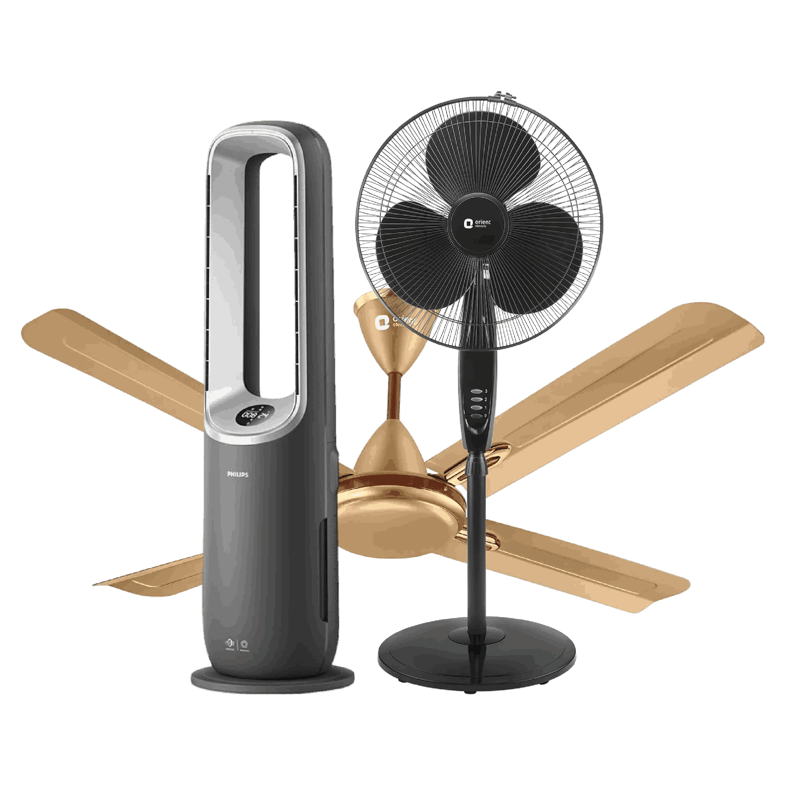 Fans & Air Purifiers