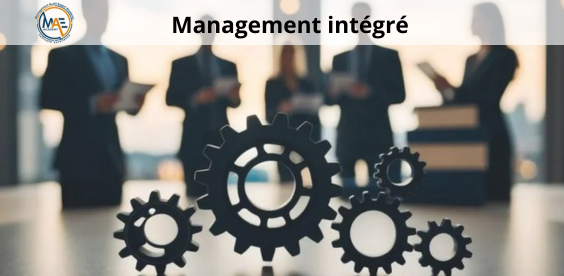 Domaine Management Intégré (QSE&E)