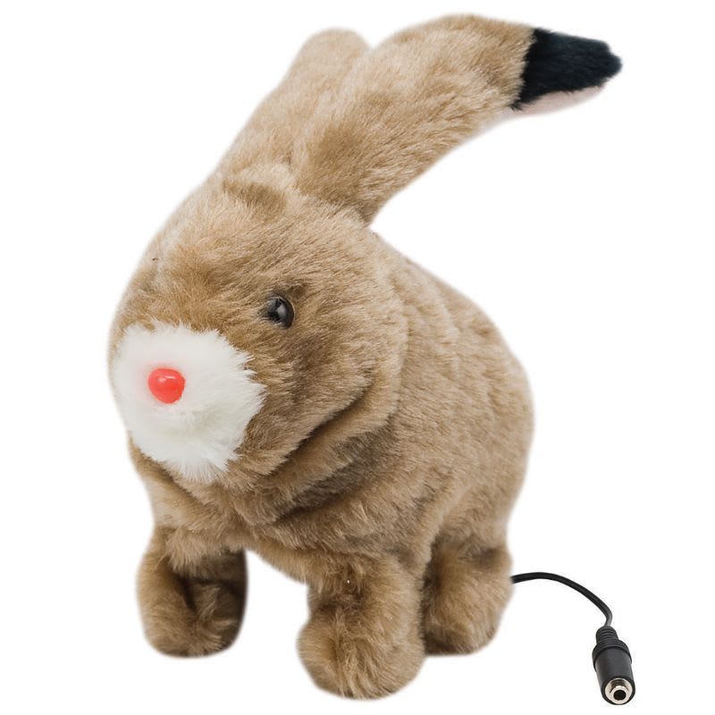 Product image of Robbie Rabbit