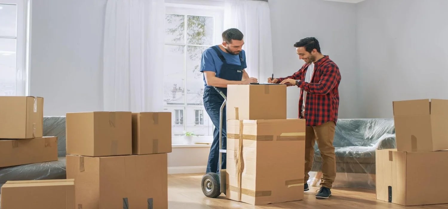 Top 10 packers and movers