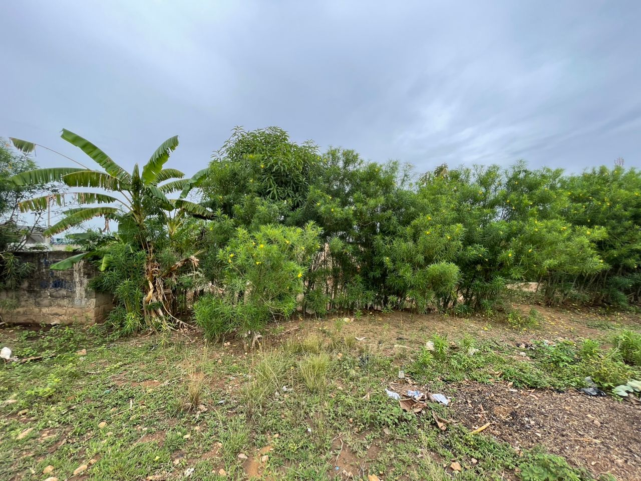 A VENDRE - TERRAIN DE 300 M² A SOKODE - KPANGALAM