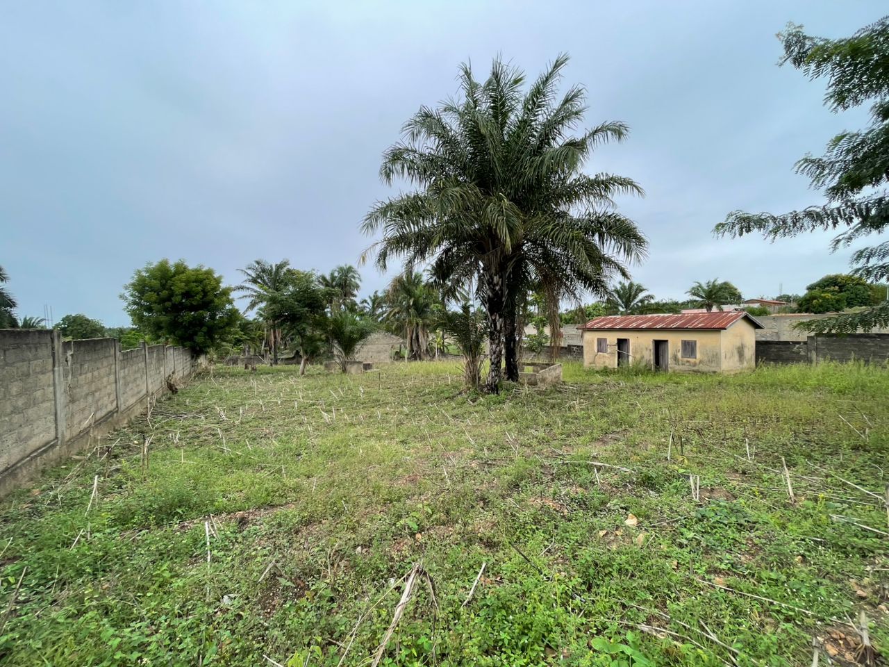 A VENDRE - TERRAIN DE 1200 M² A SOKODE - KPANGALAM