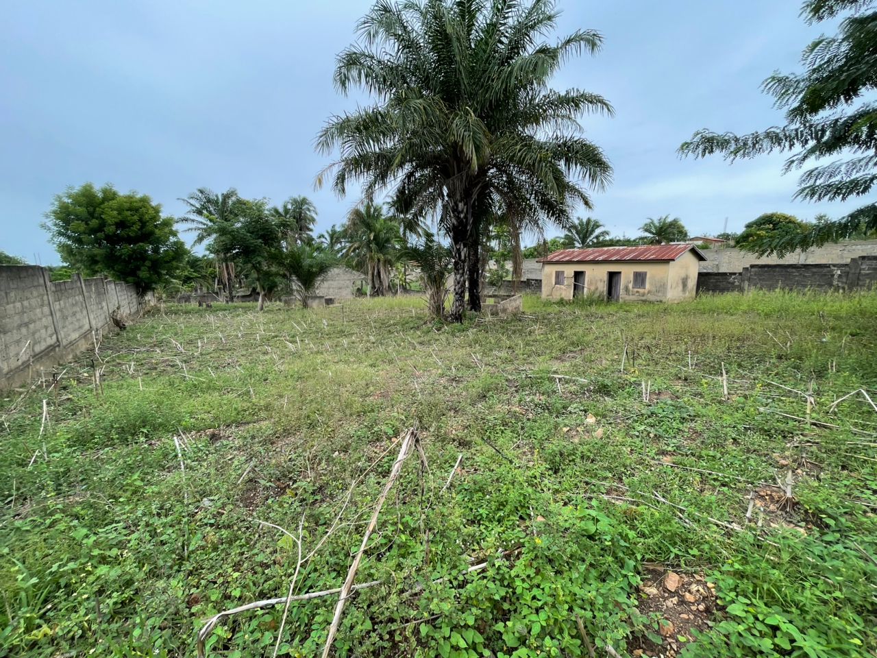 A VENDRE - TERRAIN DE 1200 M² A SOKODE - KPANGALAM