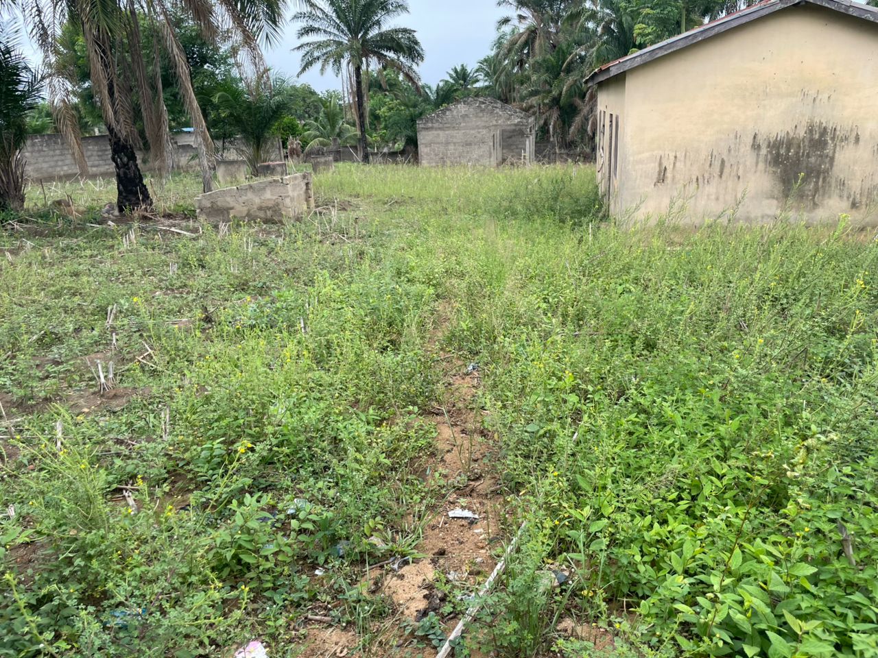 A VENDRE - TERRAIN DE 1200 M² A SOKODE - KPANGALAM