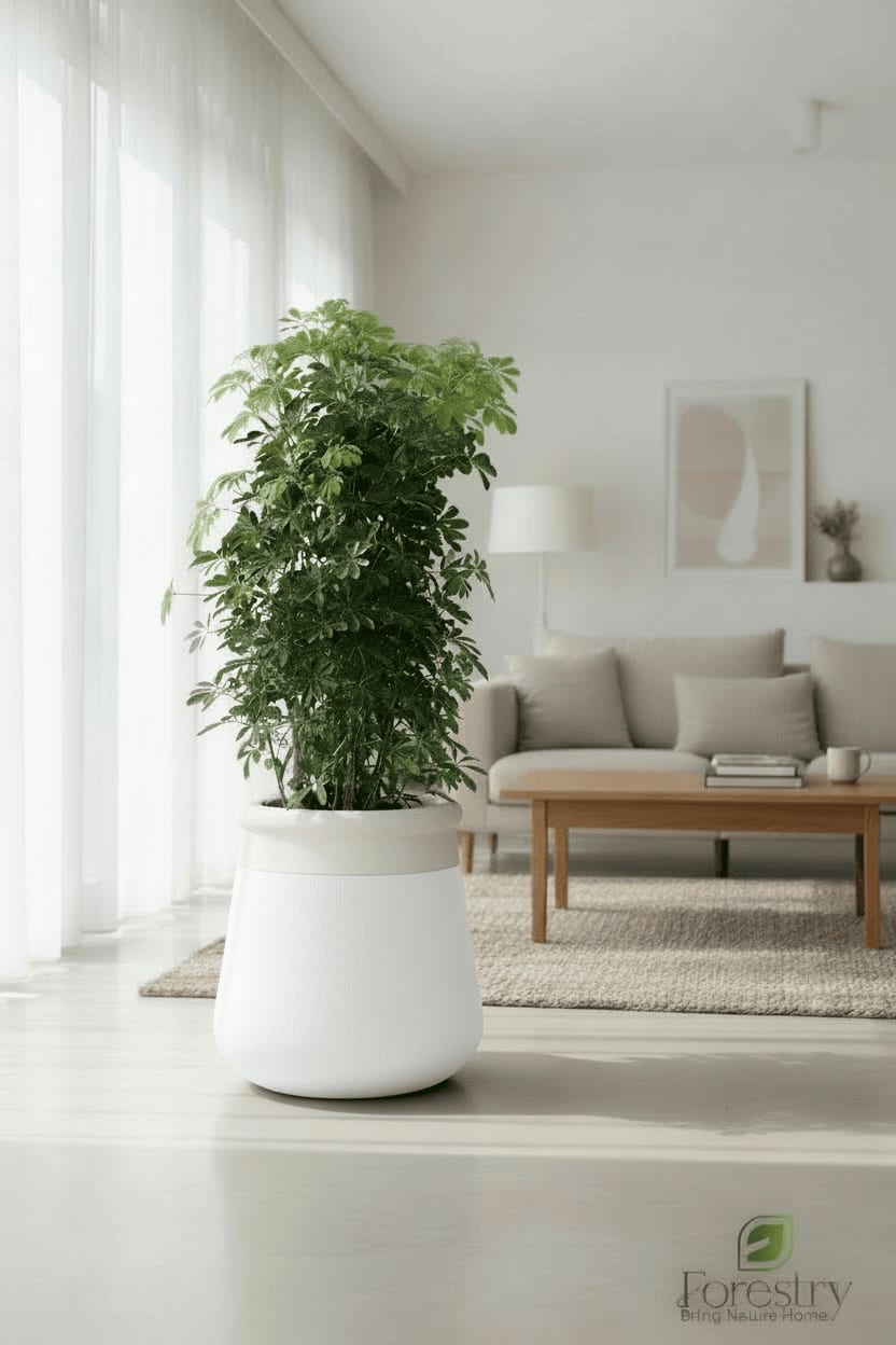 BLOB PLANTER