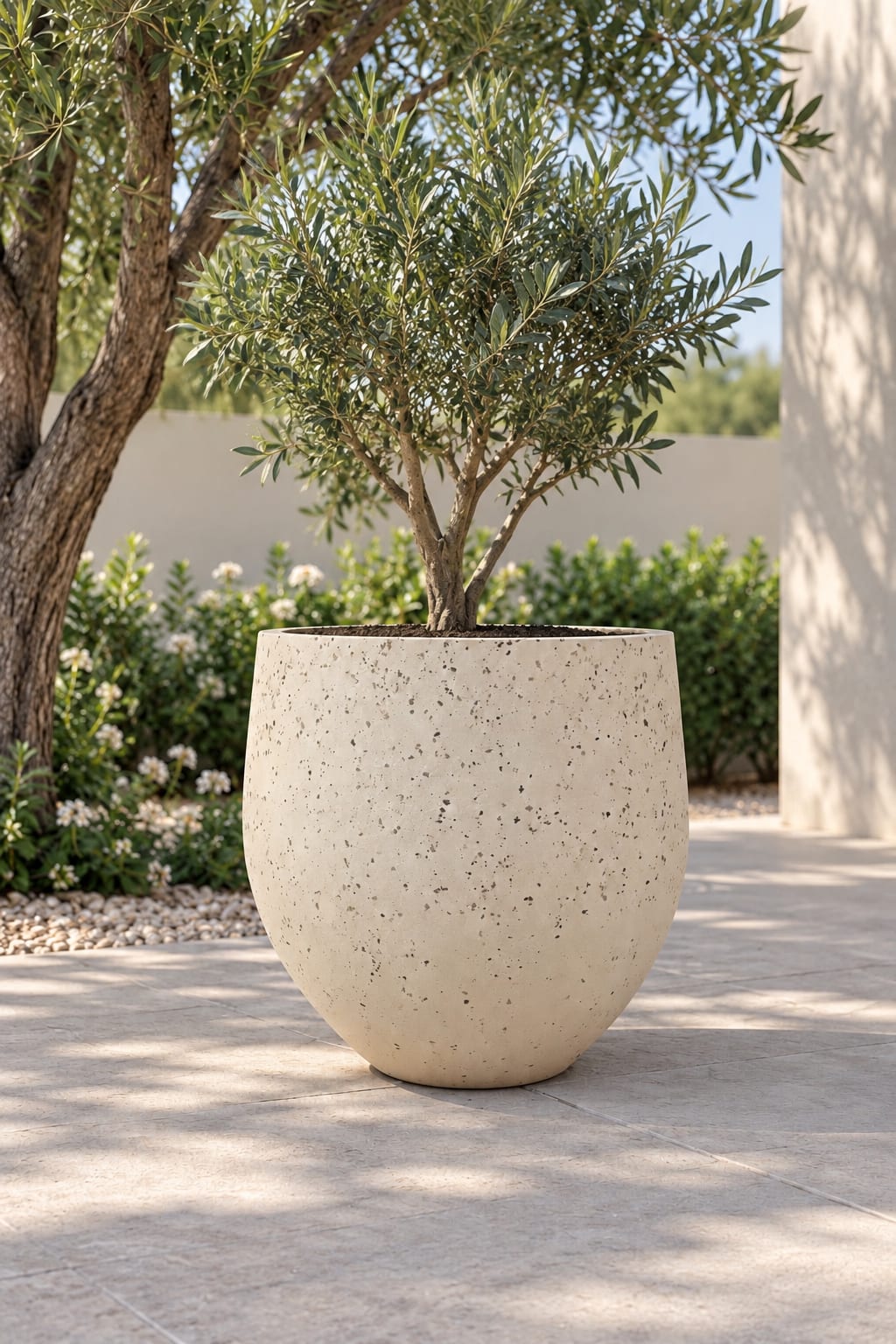 Forestry Cement Series speckled beige rounded planter with an olive tree on an outdoor terrace