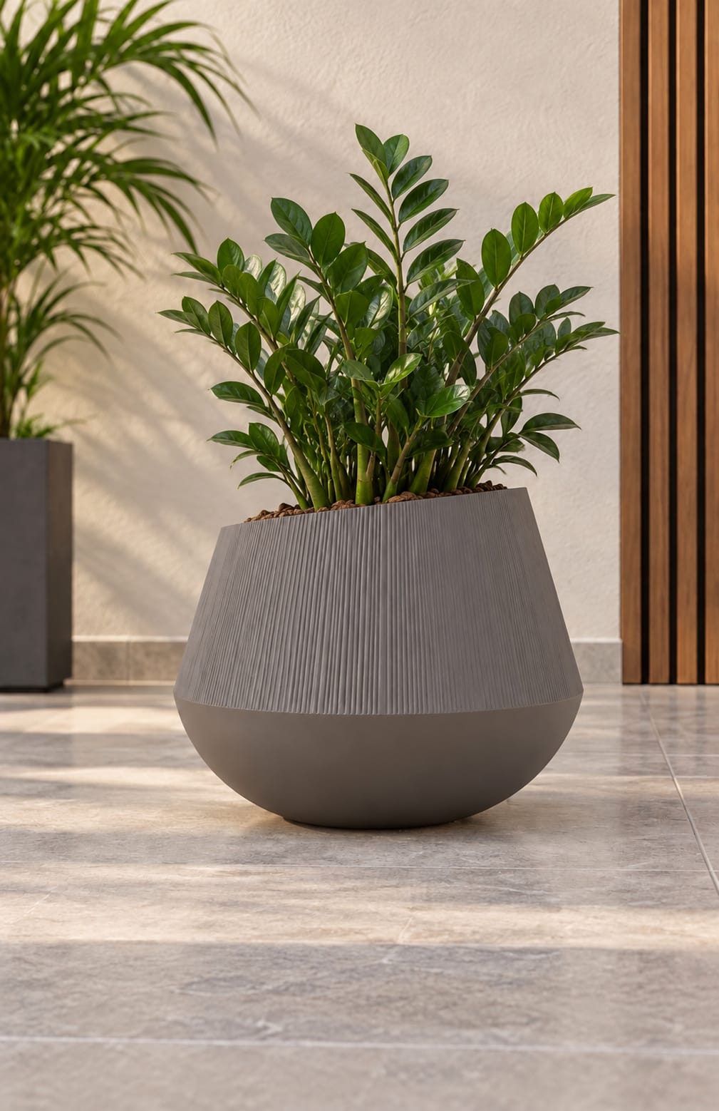 Forestry Sculpted Dual Finish grey planter with a ridged upper body and smooth rounded base, planted with a ZZ plant