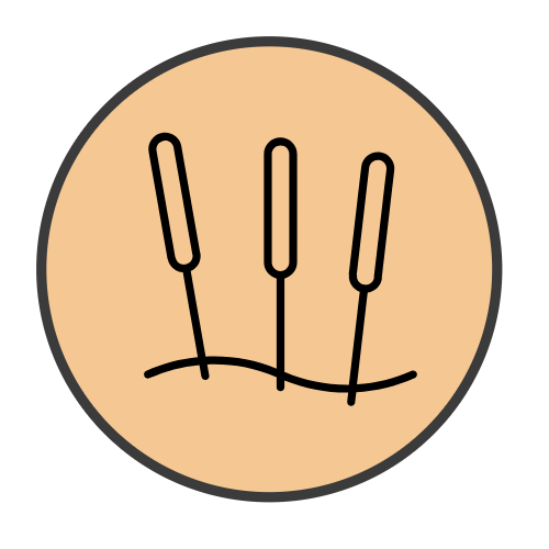 Icono de acupuntura
