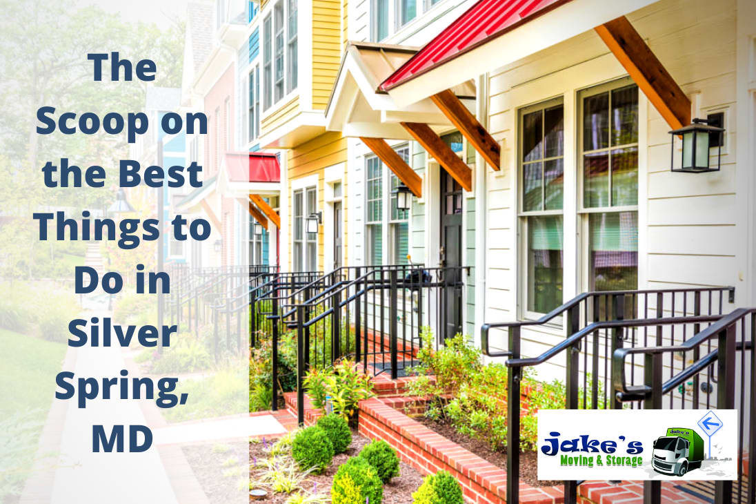 Best Things To Do in Silver Spring, Maryland