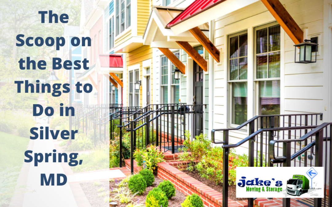 The Scoop on the Best Things to Do in Silver Spring, MD